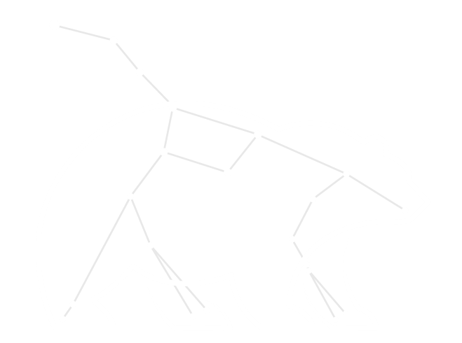 ursasolutions.eu Logo